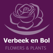 Verbeek&Bol